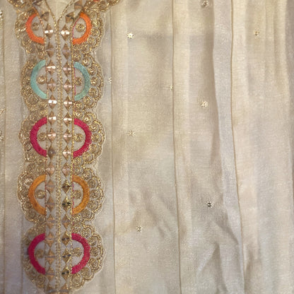 Anarkali set embroidered