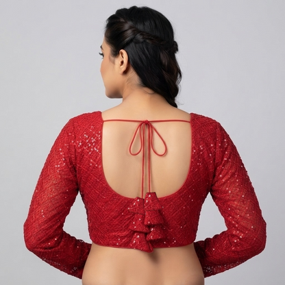 Up tack base sequin and embroidered net sleeve blouse