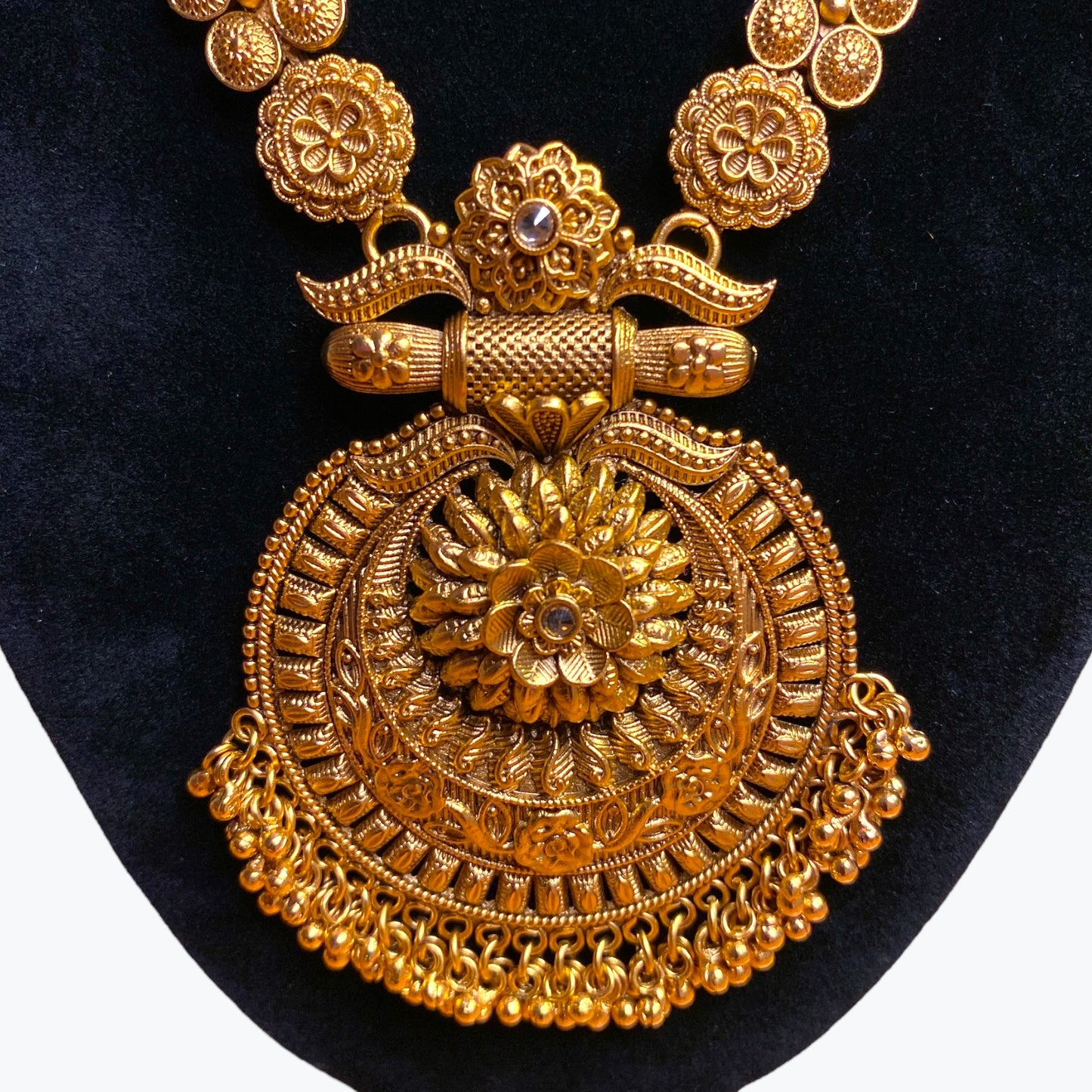 Long Chain Necklace with Pendant and earrings set