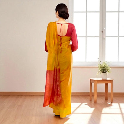 Banarasi sari set with blouse