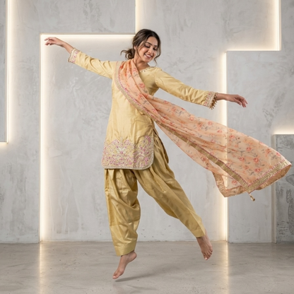 Gulnaar Glow farsi salwar suit set