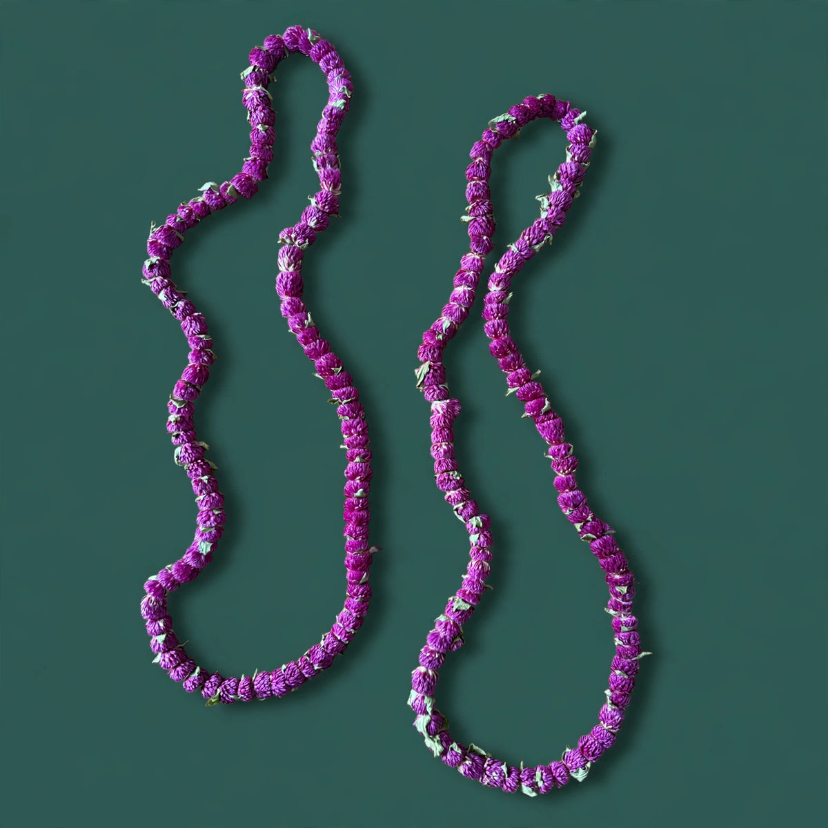 Dried Makamali mala/Dried globe amaranth