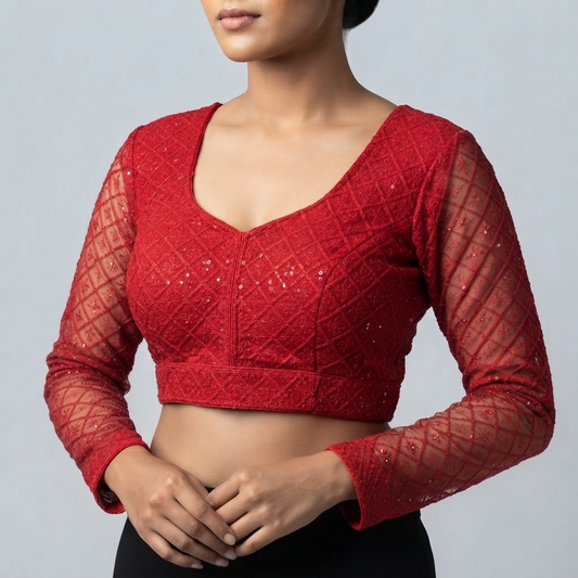 Up tack base sequin and embroidered net sleeve blouse