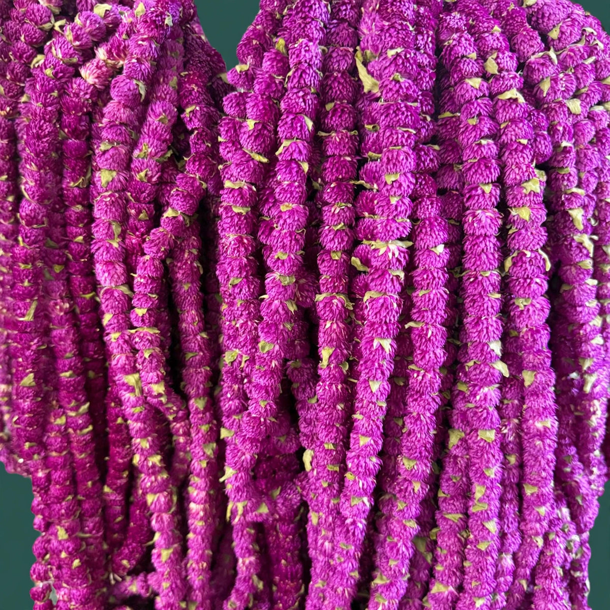 Dried Makamali mala/Dried globe amaranth