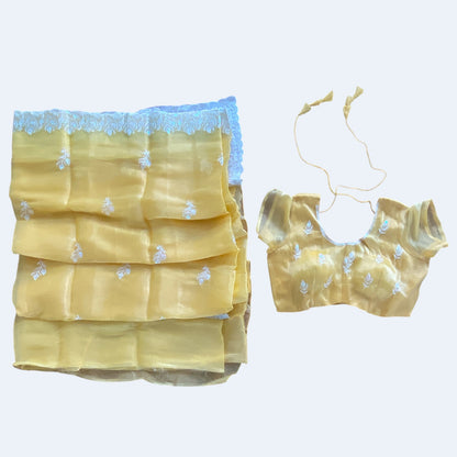 Net saree and blouse set