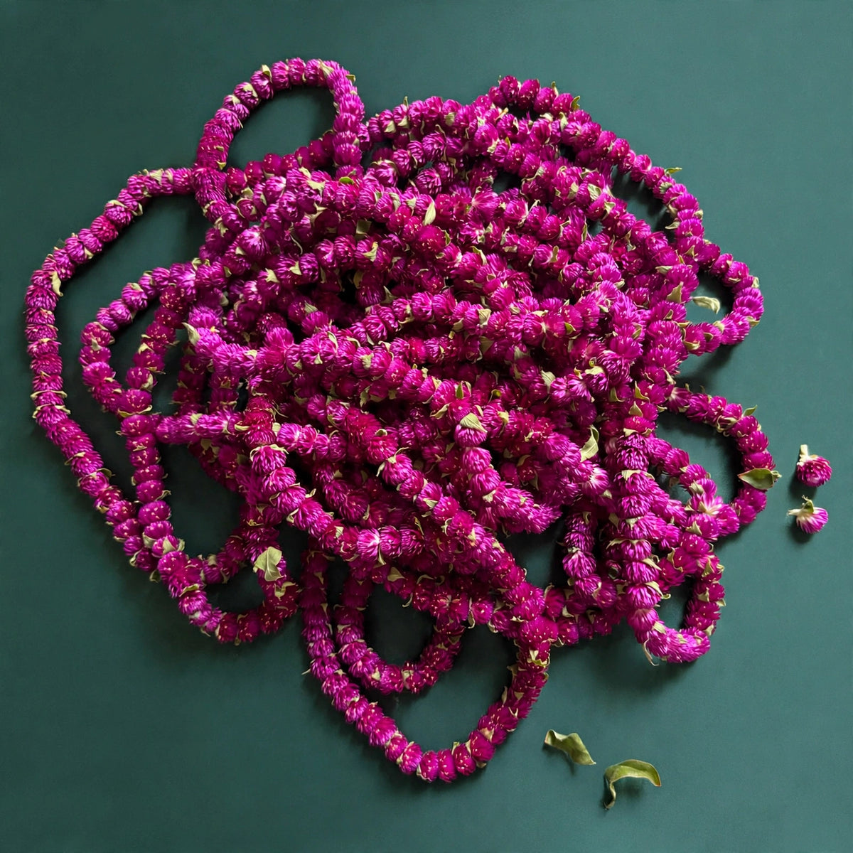 Dried Makamali mala/Dried globe amaranth