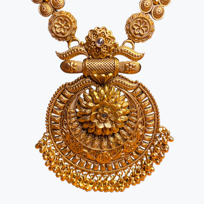 Long Chain Necklace with Pendant and earrings set