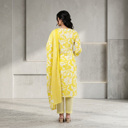 Straight-cut with a V-neck design kurta set