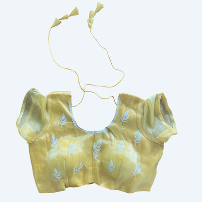 Net saree and blouse set